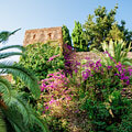 Hermosura floral alrededor de la fortaleza de la Alcazaba de Málaga.