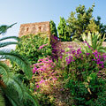 Blütenpracht rund um die Festung der Alcazaba von Malaga.